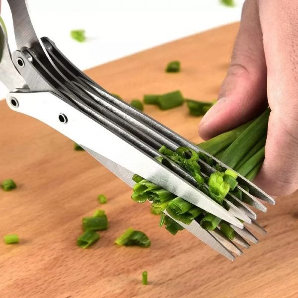 Stainless Steel Kitchen Herb Scissor 5 in 1