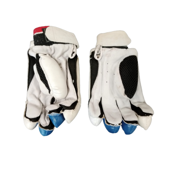 Jaguar Cricket Gloves - SR01