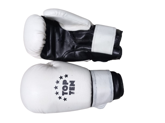 Top Ten Boxing Gloves