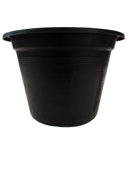 Black Plastic Pot 10'' x 12.5''